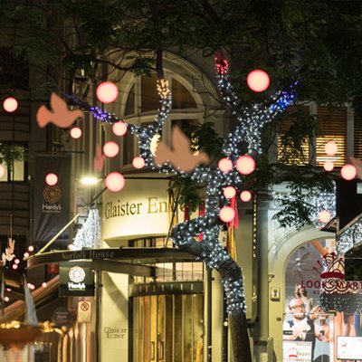Christmas lights Vulcan Lane 2016. Image: Jeremy Toth